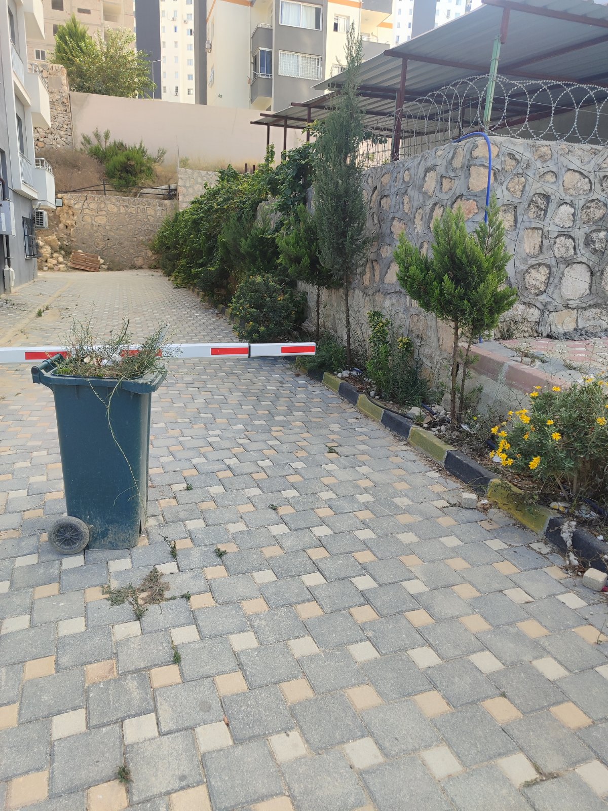 Çağkan Şimşek — darba fotogrāfija